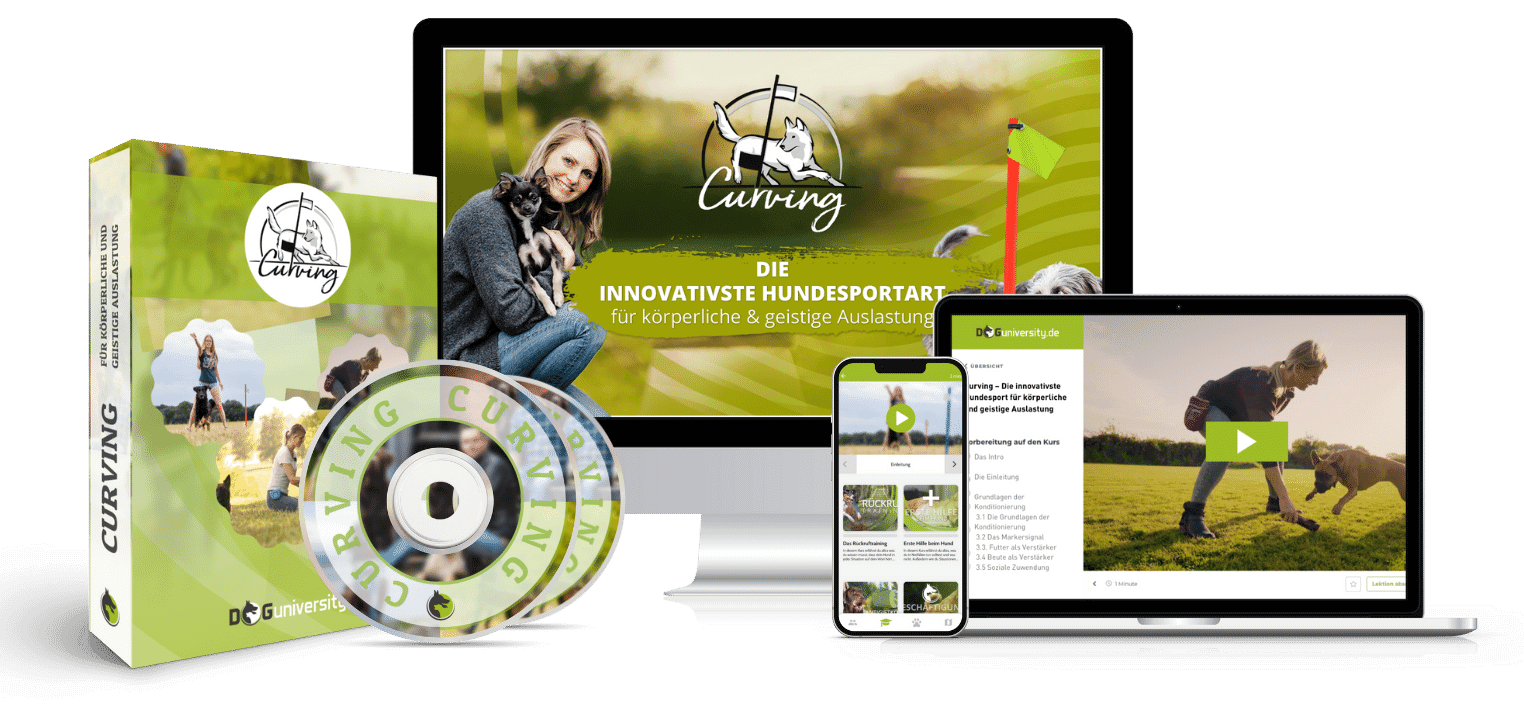 Curving Kurs Mockup Einzel