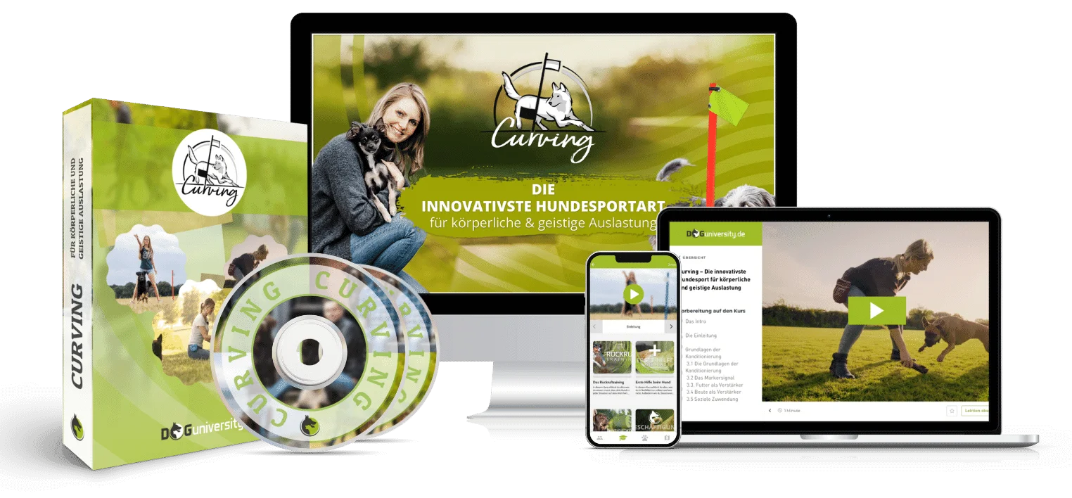 Curving Kurs Mockup Einzel