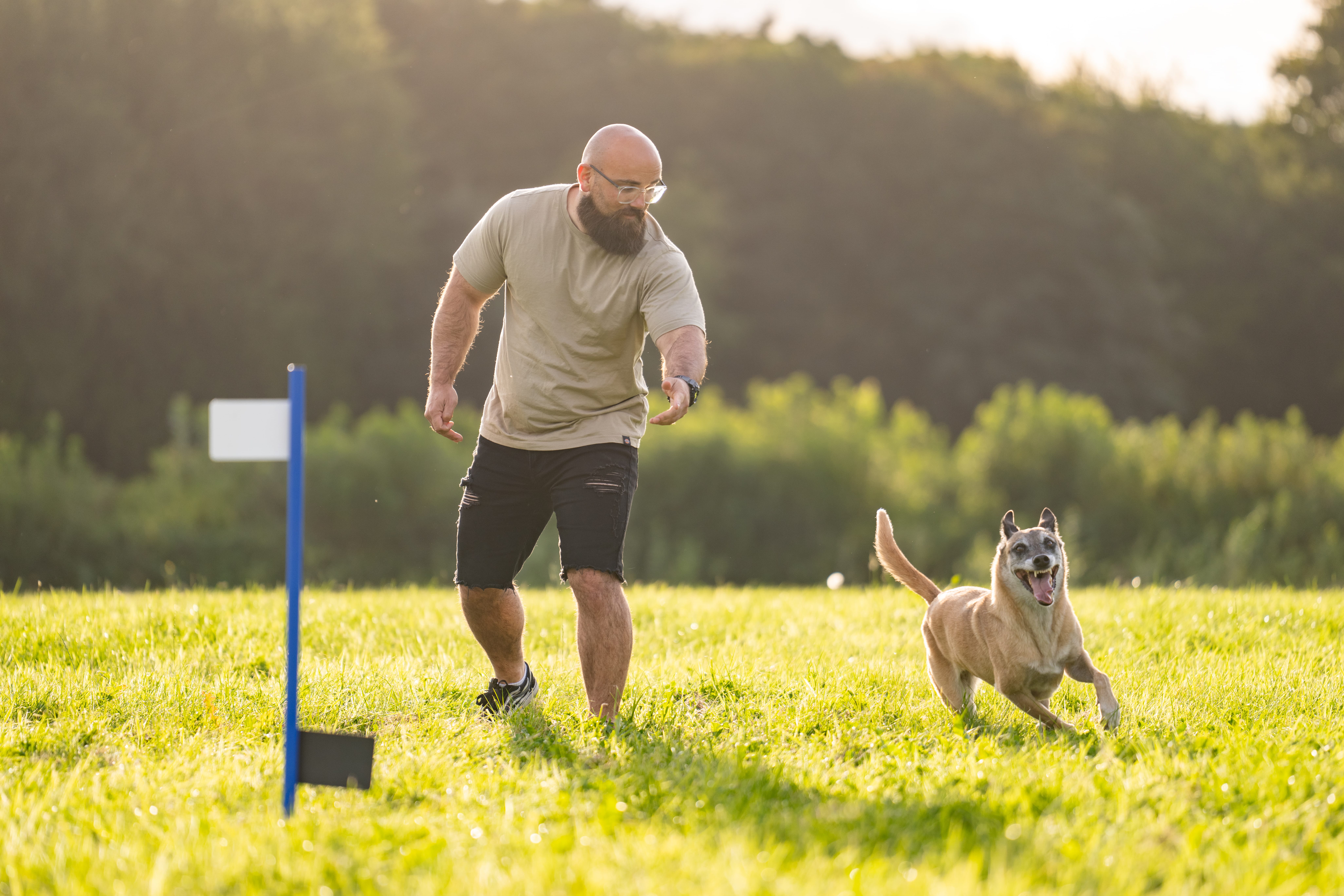 Werde Curving®-Trainer 12 DSC08508