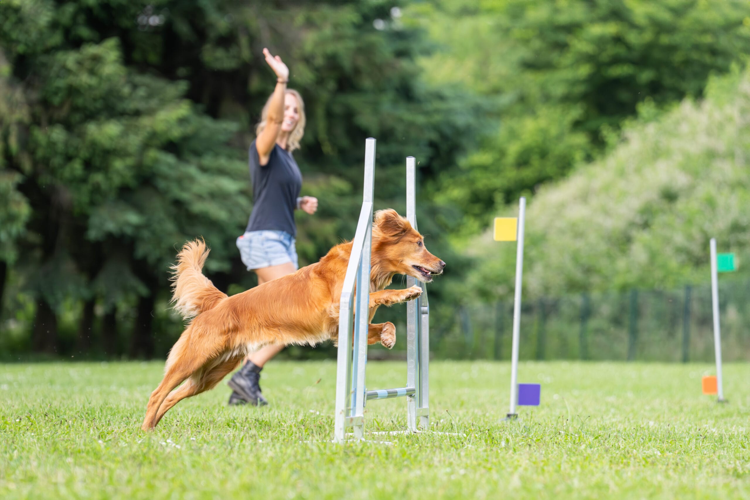 e8ee0f3a41e342d5036b02c711ca166930b44f15 scaled